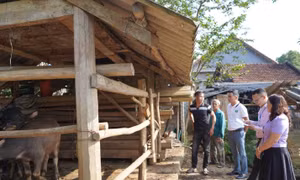 Miền núi Tân Kỳ đổi thay từ tín dụng chính sách