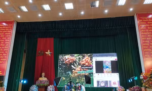 Sơn La: Khai thác tiềm năng kinh tế số trong xúc tiến quảng bá sản phẩm OCOP