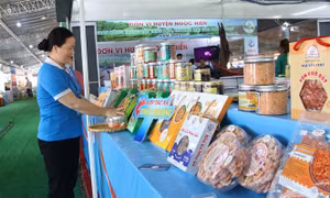 Trao quyền cho Doanh nghiệp vừa và nhỏ Việt Nam