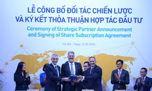 IFC hỗ trợ Tập đoàn Mavin phát triển hoạt động chăn nuôi heo bền vững