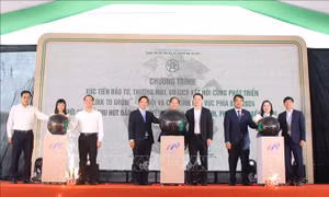 Tạo sự liên kết, hướng tới mục tiêu chuyển đổi sản xuất xanh, phát triển bền vững