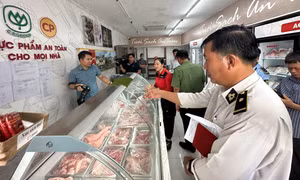 Đoàn kiểm tra chưa phát hiện kinh doanh các sản phẩm lợn bệnh tại Công ty C.P Việt Nam