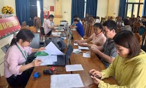 Tín dụng chính sách giúp Ninh Bình vươn mình