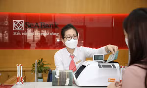 Giới hạn tỷ lệ sở hữu cổ phần nước ngoài đang làm khó ngân hàng