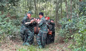 Đẩy mạnh các hoạt động hỗ trợ, giúp đỡ nạn nhân của bom mìn