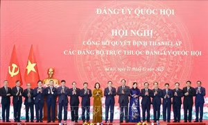 Tính Đảng trong xây dựng pháp luật và yêu cầu đặt ra đối với Đảng bộ Quốc hội trong tình hình mới