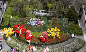 Hàng nghìn du khách đến du xuân tại Sun World Ba Na Hills dịp đầu năm mới 2025