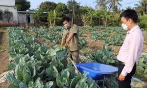 Chuyển động tích cực của tín dụng chính sách ở Bạc Liêu