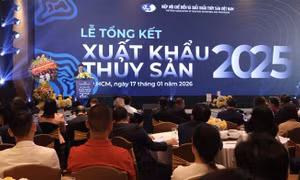 Xuất khẩu thuỷ sản tính đường dài sau kỷ lục 11,3 tỷ USD