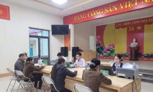 Dấu ấn vốn chính sách trên vùng đất ngọc Lục Yên