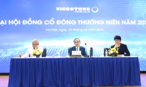 Nền tảng vững vàng – Hướng tới phát triển bền vững
