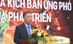 Để không ‘bị động’ trước cuộc chiến năng lượng thế giới