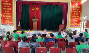 Vùng đồng bằng ven biển Diễn Châu đổi thay nhờ vốn tín dụng chính sách