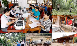 Nghệ An tích cực khơi thông dòng chảy vốn tín dụng chính sách
