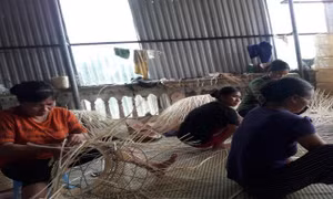 Hà Nội hỗ trợ phụ nữ dân tộc thiểu số phát triển kinh tế, nâng cao thu nhập
