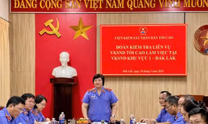 Vụ Kiểm sát giải quyết khiếu nại, tố cáo về tư pháp: Phát huy nguồn tin, cụ thể hóa Nghị quyết 205