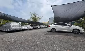 Xuất hiện loại bất động sản dòng tiền mới - Cơ hội đầu tư đầy triển vọng tại Việt Nam