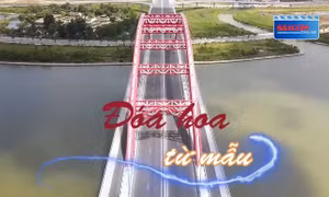 MV 'Đóa hoa từ mẫu' tôn vinh những chiến sĩ áo trắng