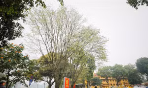 Chùm thơ của nhà thơ Đỗ Chiến Thắng