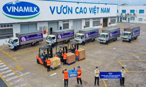 Vinamilk tham gia khảo sát nơi làm việc tốt nhất Việt Nam với vai trò đối tác đồng hành