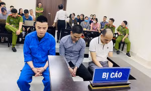 Phạt tù nhóm đối tượng giam giữ, tra tấn lập trình viên người nước ngoài