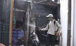 Tuần qua, Hà Nội có thêm 442 ca mắc sốt xuất huyết, 19 ổ dịch 