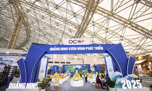'Sàn diễn' khổng lồ của đặc sản vùng miền: Hành trình khám phá 'Việt Nam thu nhỏ' giữa lòng VEC