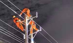 Tổng Công ty Điện lực miền Nam đảm bảo cung cấp điện cho người dân vui Xuân đón Tết
