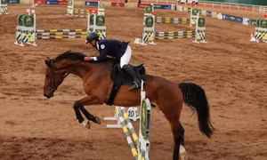 Vinpearl Equestrian Cup 2025: Bước đột phá của thể thao cưỡi ngựa Việt Nam