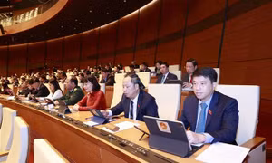 Phê chuẩn miễn nhiệm chức vụ Phó Thủ tướng Thường trực đối với ông Phạm Bình Minh và Phó Thủ tướng với ông Vũ Đức Đam