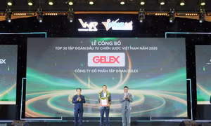GELEX nổi bật tại bảng xếp hạng ALPHA30 Top 30 Tập đoàn Đầu tư Chiến lược Việt Nam năm 2025