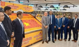 Đại sứ Nguyễn Mạnh Tuấn: Hợp tác kinh tế là điểm sáng trong quan hệ Việt Nam - UAE