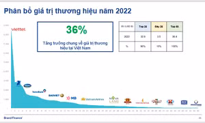 Thương hiệu Quốc gia Việt Nam đã tăng trưởng kỷ lục trong đại dịch COVID-19