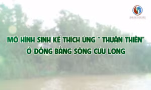 Mô hình sinh kế thích ứng 'thuận thiên' ở Đồng bằng Sông Cửu Long