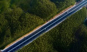 TS. Võ Trí Thành: Từ ‘nâu’ sang ‘xanh’, Quảng Ninh thành công bởi cách làm táo bạo