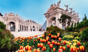 Hàng nghìn du khách choáng ngợp với biển hoa tulip trên đỉnh Bà Nà dịp Tết 2026