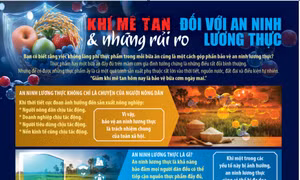 Khí mê tan ảnh hưởng như thế nào tới an ninh lương thực?