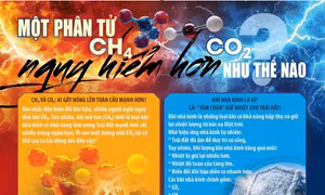 CH4 và CO2: Tác nhân nào gây nóng lên toàn cầu mạnh hơn?