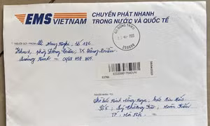 Nhịp cầu đơn thư bạn đọc