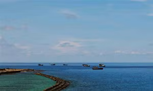 Thơ: Tết này con chưa về