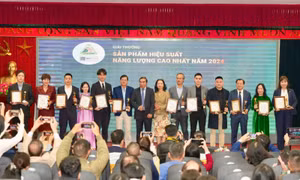 Ứng dụng AI cho cuộc sống thân thiện với môi trường