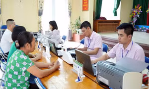 Tín dụng chính sách góp lực thúc đẩy huyện Trấn Yên trở thành cực tăng trưởng mới