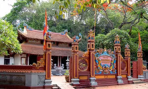 Viết đi con