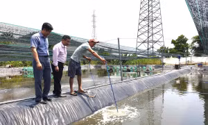 Tín dụng chính sách góp lực để Đà Nẵng vươn mình