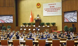 Lấy ý kiến cử tri nơi công tác đối với 122 người ứng cử đại biểu Quốc hội chuyên trách ở Trung ương