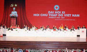 Đoàn kết, đồng lòng cùng chung tay thực hiện nhiệm vụ nhân đạo của đất nước