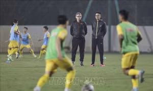 Những điểm mới ở Đội tuyển Việt Nam thời HLV Troussier