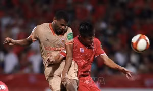 Vòng 4 V-League 2023 - 2024: Tâm điểm Lạch Tray