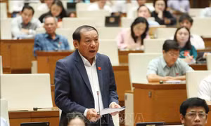 Bộ trưởng Bộ Văn hóa, Thể thao và Du lịch trả lời về bộ phim 'Đất rừng phương Nam'