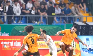 Vòng 17 V-League: Khi HAGL đối đầu Ninh Bình của HLV Vũ Tiến Thành